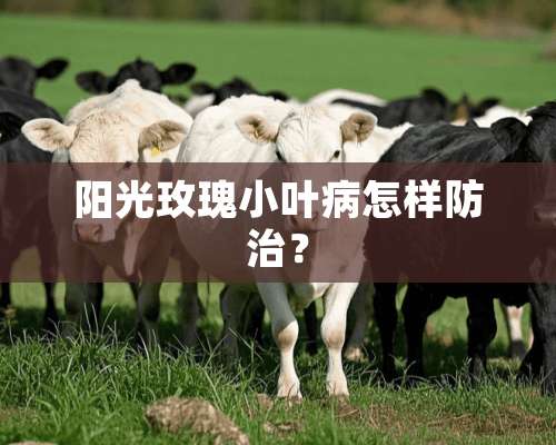 阳光玫瑰小叶病怎样防治？