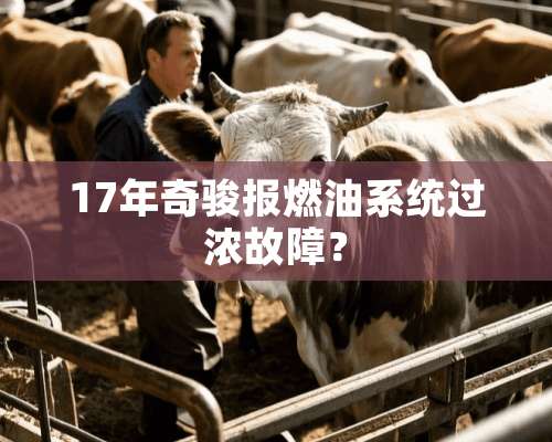 17年奇骏报燃油系统过浓故障？