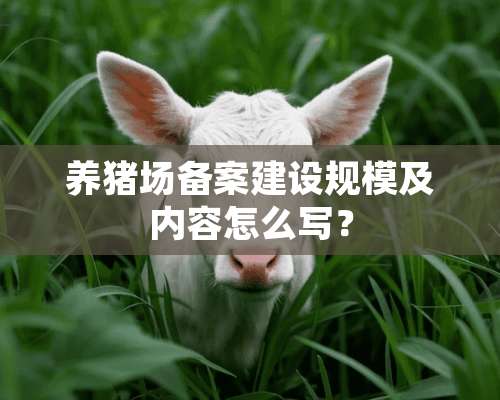 养猪场备案建设规模及内容怎么写？