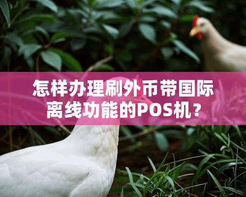 怎样办理刷外币带国际离线功能的POS机？