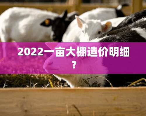 2022一亩大棚造价明细？