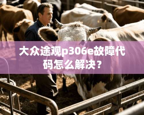 大众途观p306e故障代码怎么解决？