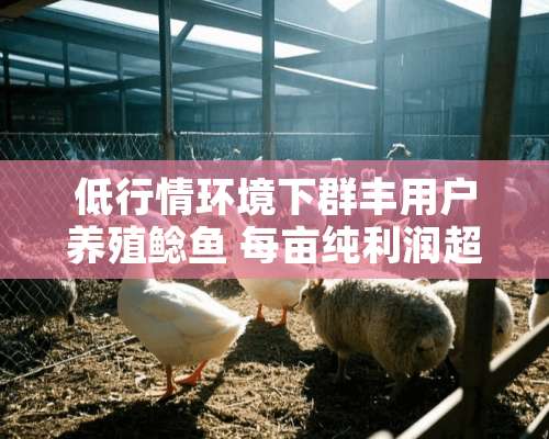 低行情环境下群丰用户养殖鲶鱼 每亩纯利润超七千