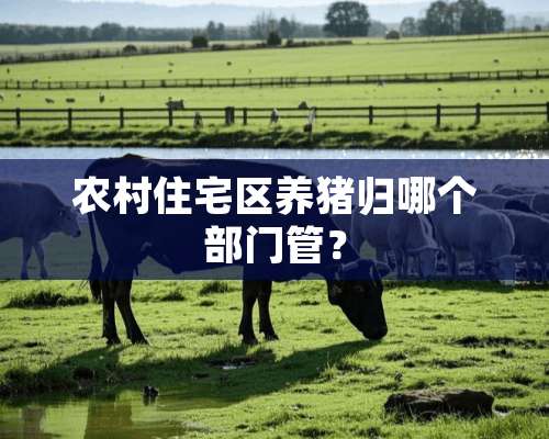 农村住宅区养猪归哪个部门管？