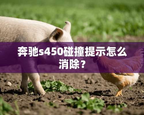 奔驰s450碰撞提示怎么消除？