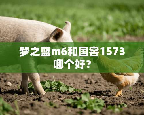 梦之蓝m6和国窖1573哪个好？