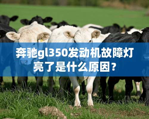 奔驰gl350发动机故障灯亮了是什么原因？