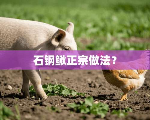 石钢鳅正宗做法？