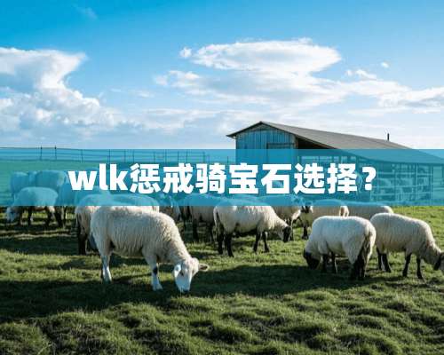 wlk惩戒骑宝石选择？