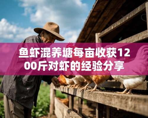 鱼虾混养塘每亩收获1200斤对虾的经验分享