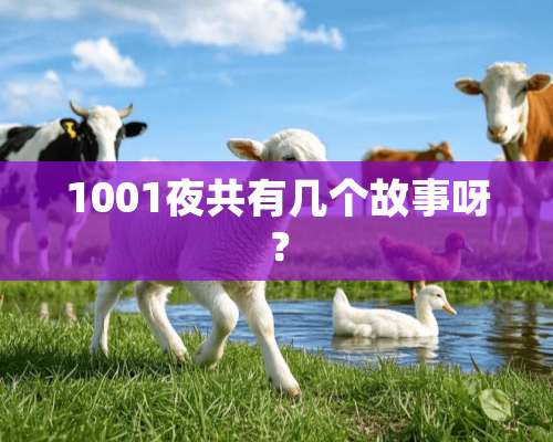 1001夜共有几个故事呀？