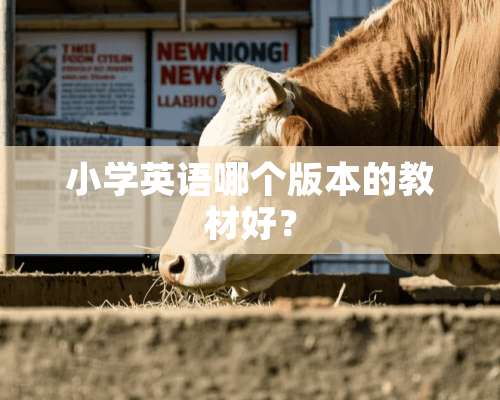 小学英语哪个版本的教材好？