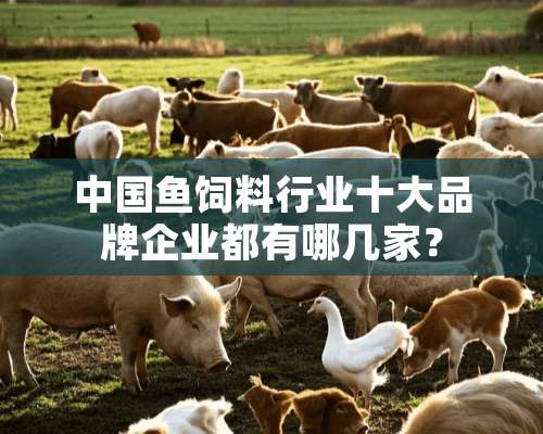 中国鱼饲料行业十大品牌企业都有哪几家？