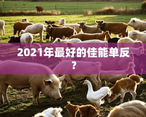 2021年最好的佳能单反？