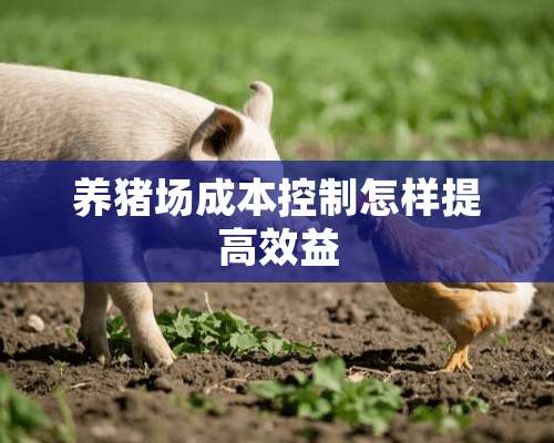 养猪场成本控制怎样提高效益