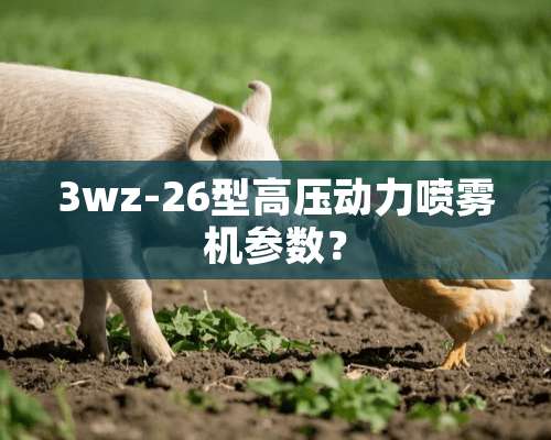 3wz-26型高压动力喷雾机参数？