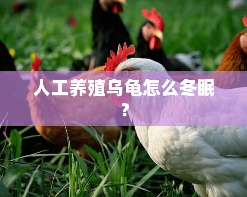 人工养殖乌龟怎么冬眠？