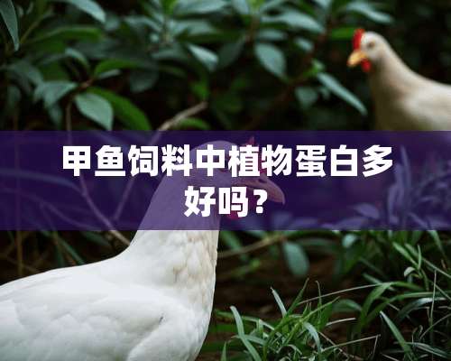 甲鱼饲料中植物蛋白多好吗？