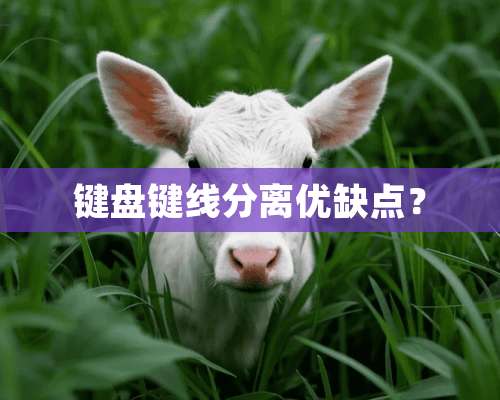 键盘键线分离优缺点？