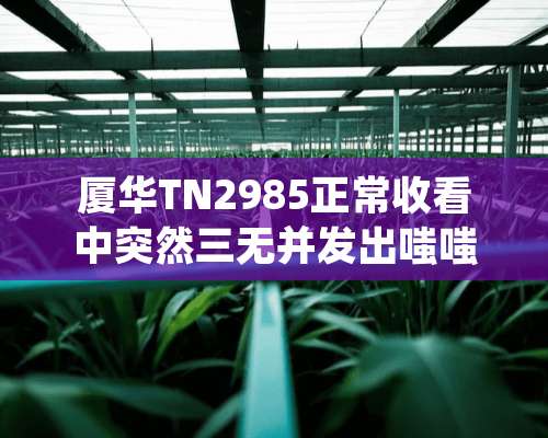 厦华TN2985正常收看中突然三无并发出嗤嗤声请问是怎么回事？