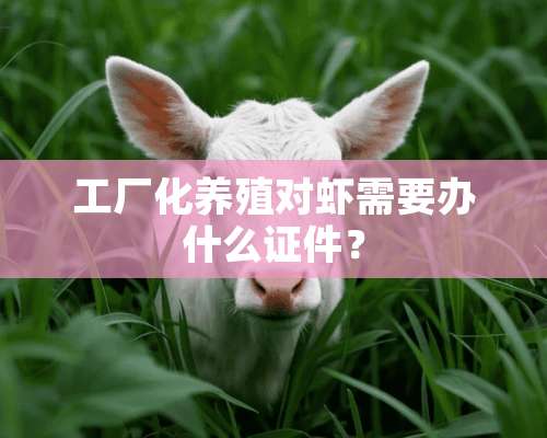 工厂化养殖对虾需要办什么**？