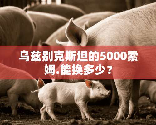 乌兹别克斯坦的5000索姆.能换多少？