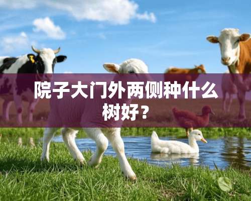 院子大门外两侧种什么树好？