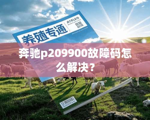 奔驰p209900故障码怎么解决？