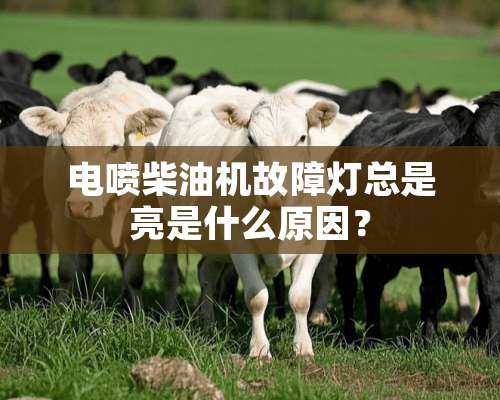 电喷柴油机故障灯总是亮是什么原因？