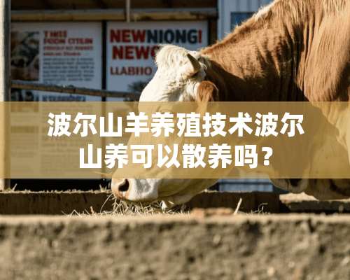 波尔山羊养殖技术波尔山养可以散养吗？