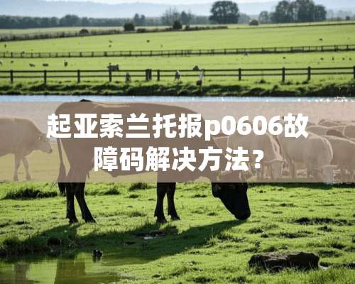 起亚索兰托报p0606故障码解决方法？