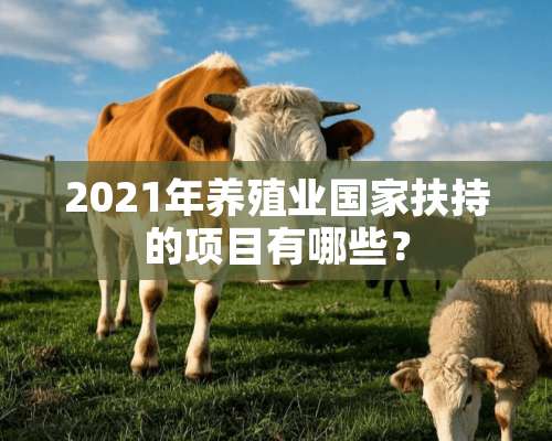 2021年养殖业国家扶持的项目有哪些？