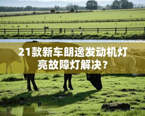 21款新车朗逸发动机灯亮故障灯解决？