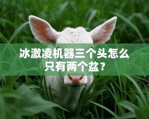 冰激凌机器三个头怎么只有两个盆？