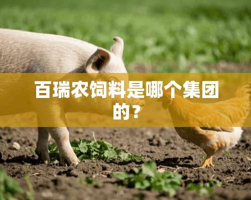 百瑞农饲料是哪个集团的？