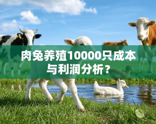 肉兔养殖10000只成本与利润分析？