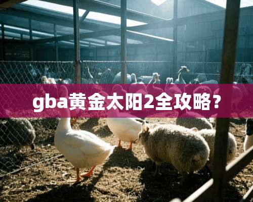 gba黄金太阳2全攻略？