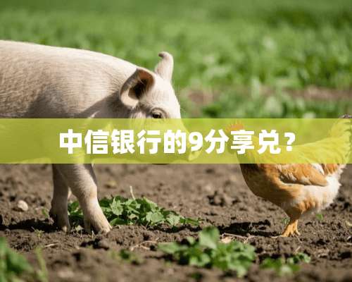 中信银行的9分享兑？