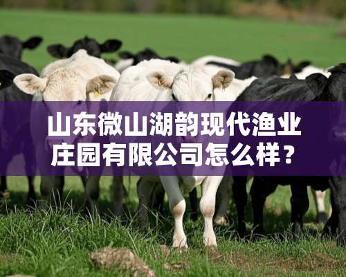 山东微山湖韵现代渔业庄园有限公司怎么样？