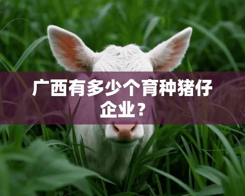 广西有多少个育种猪仔企业？