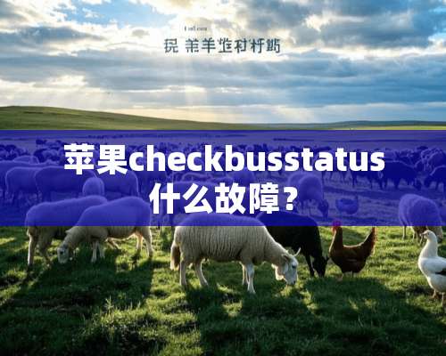 苹果checkbusstatus什么故障？