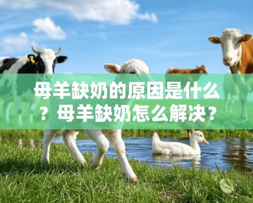 母羊缺奶的原因是什么？母羊缺奶怎么解决？