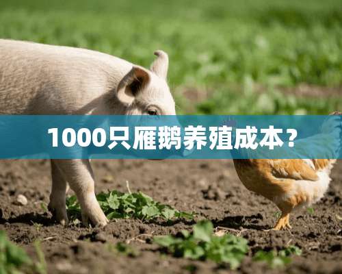 1000只雁鹅养殖成本？