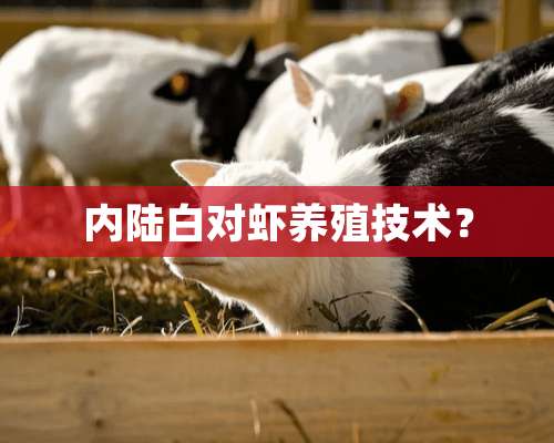 内陆白对虾养殖技术？