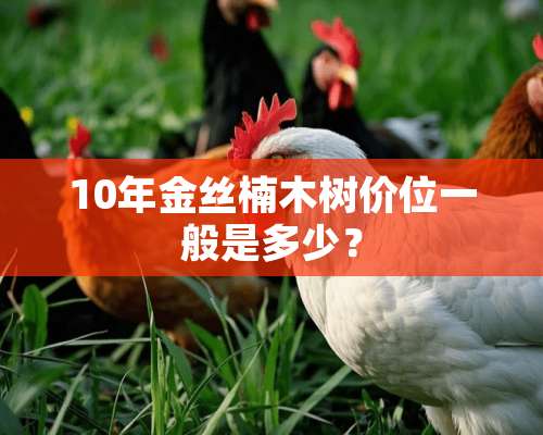 10年金丝楠木树价位一般是多少？