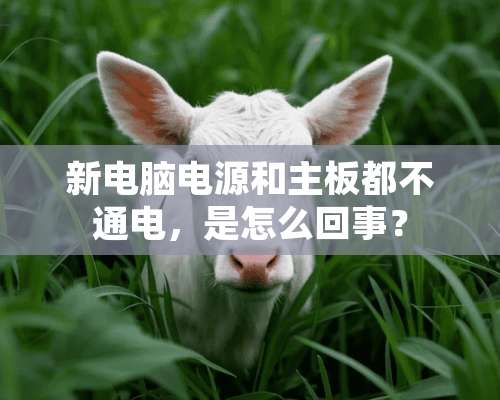 新电脑电源和主板都不通电，是怎么回事？