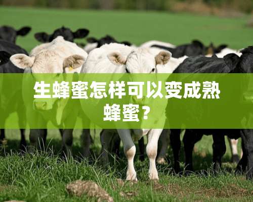 生蜂蜜怎样可以变成熟蜂蜜？