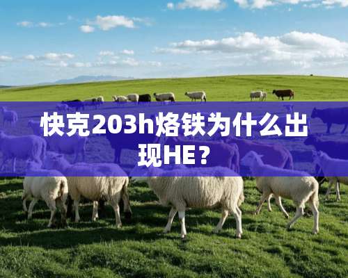 快克203h烙铁为什么出现HE？