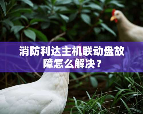 消防利达主机联动盘故障怎么解决？