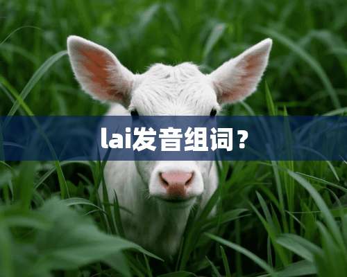 lai发音组词？